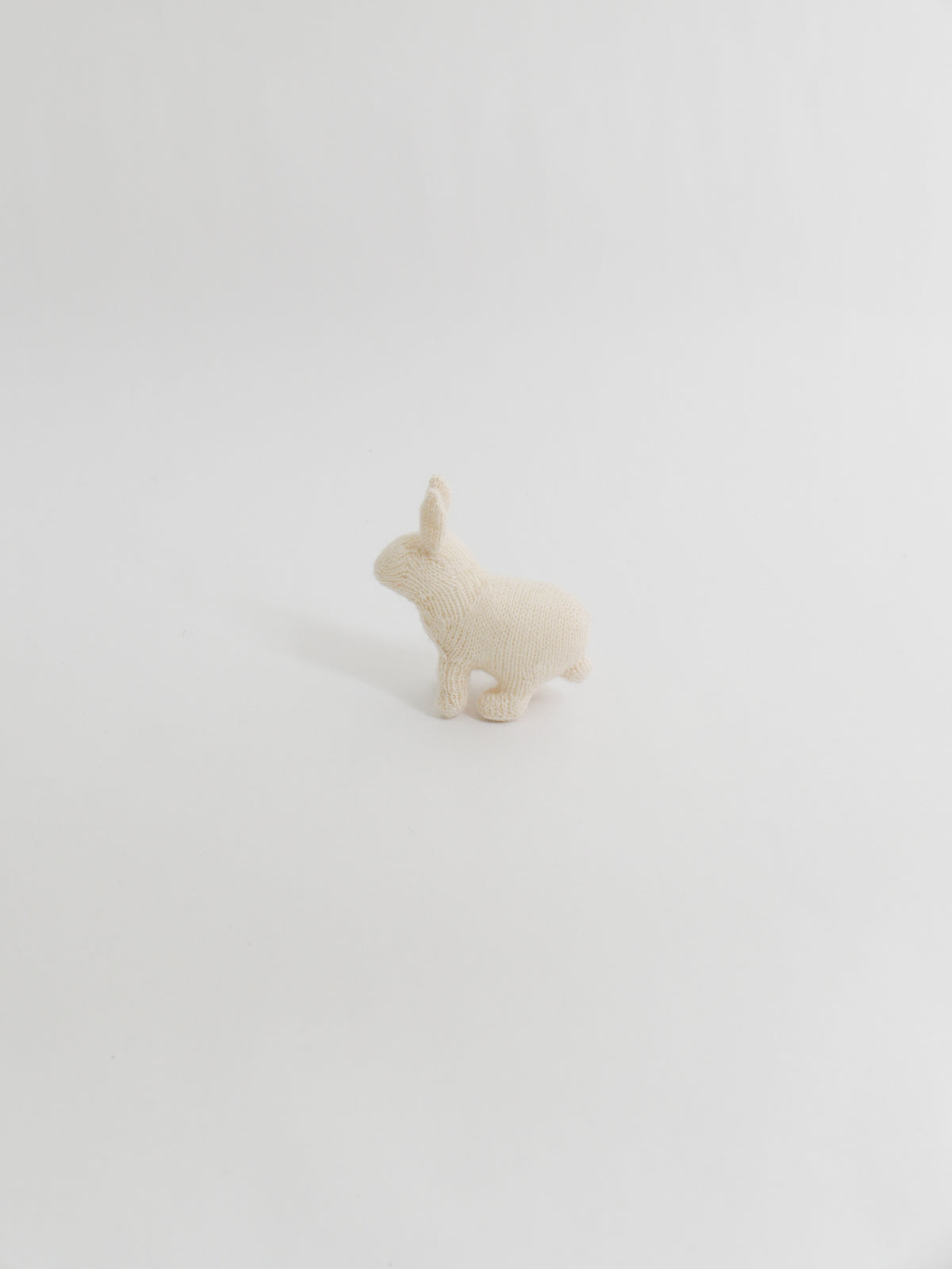 小さなうさぎ