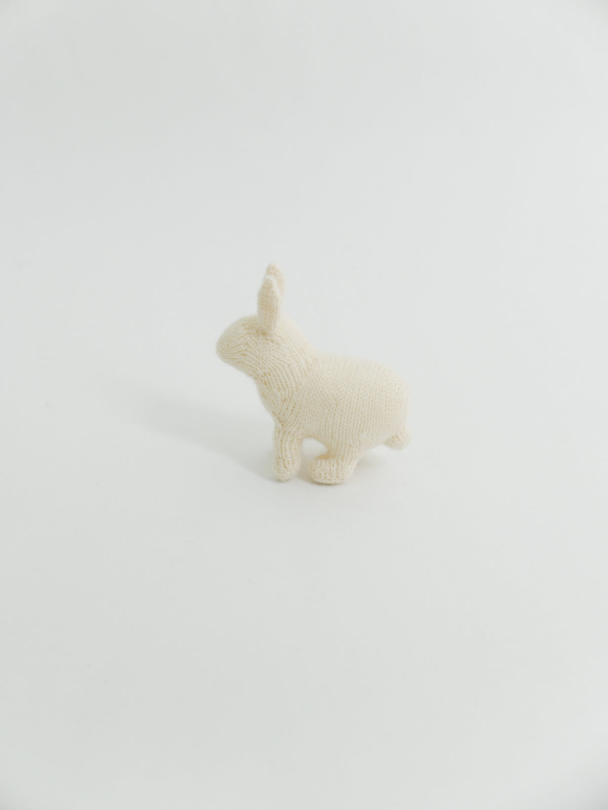 小さなうさぎ