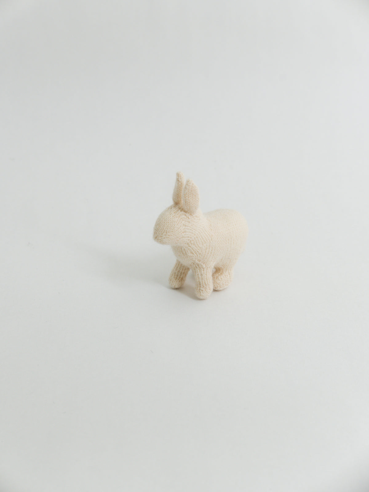 小さなうさぎ