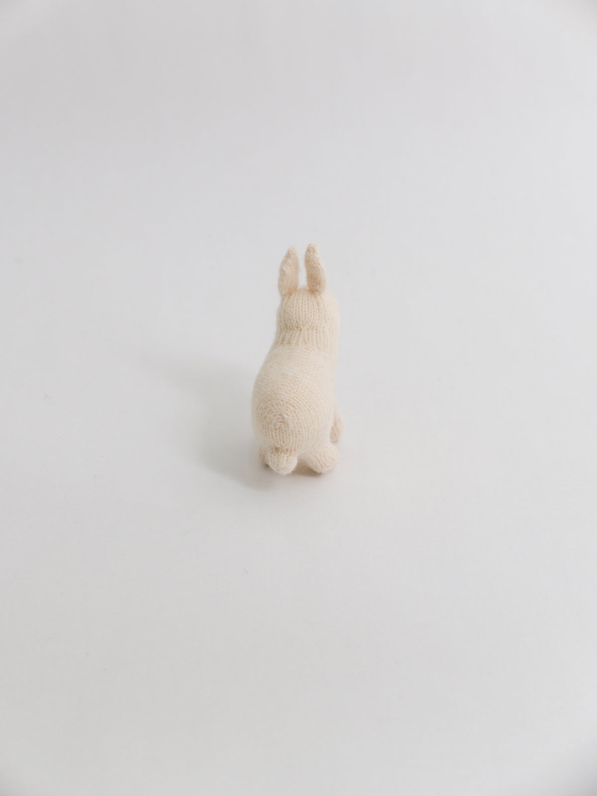 小さなうさぎ
