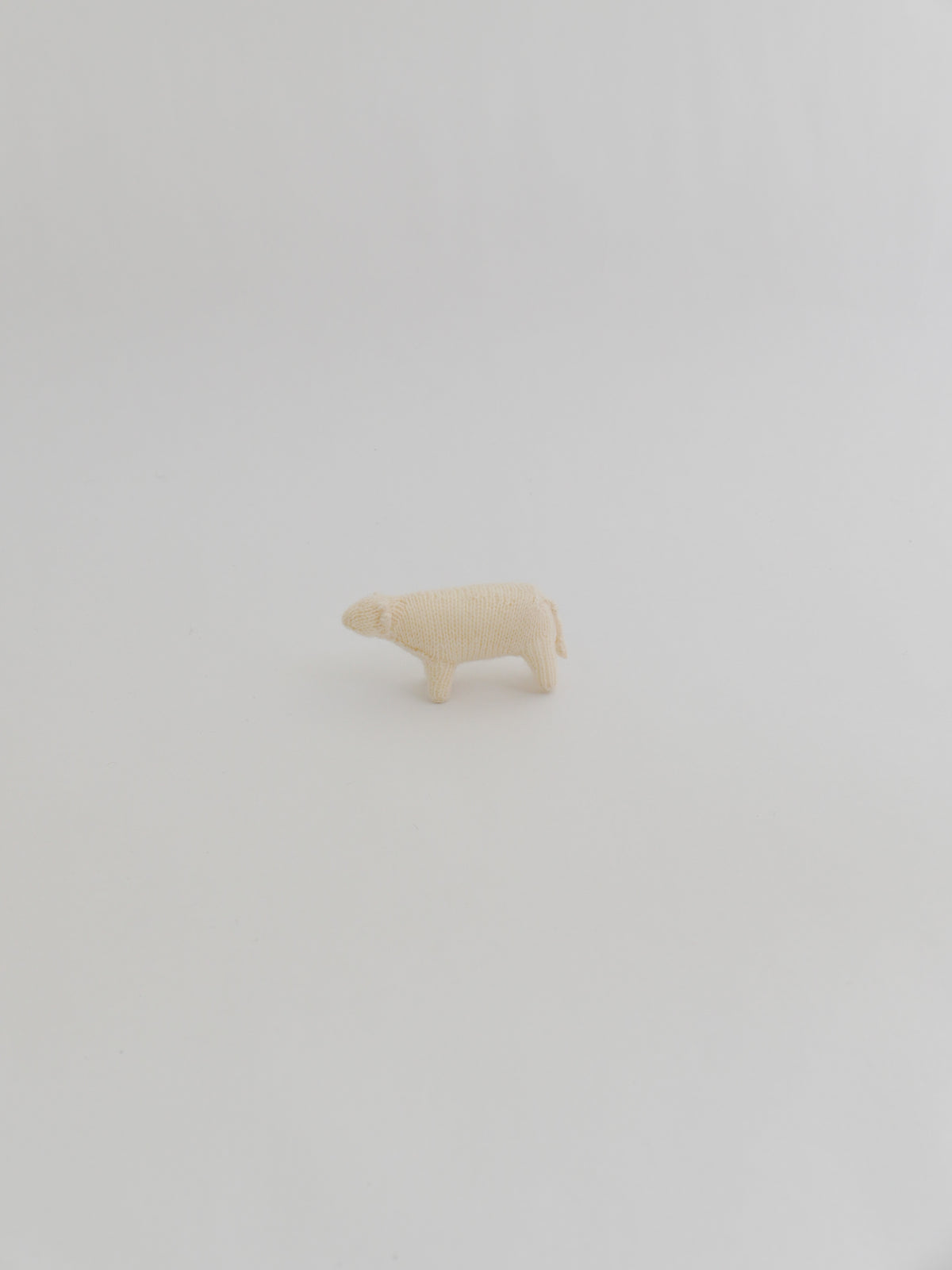 小さな牛