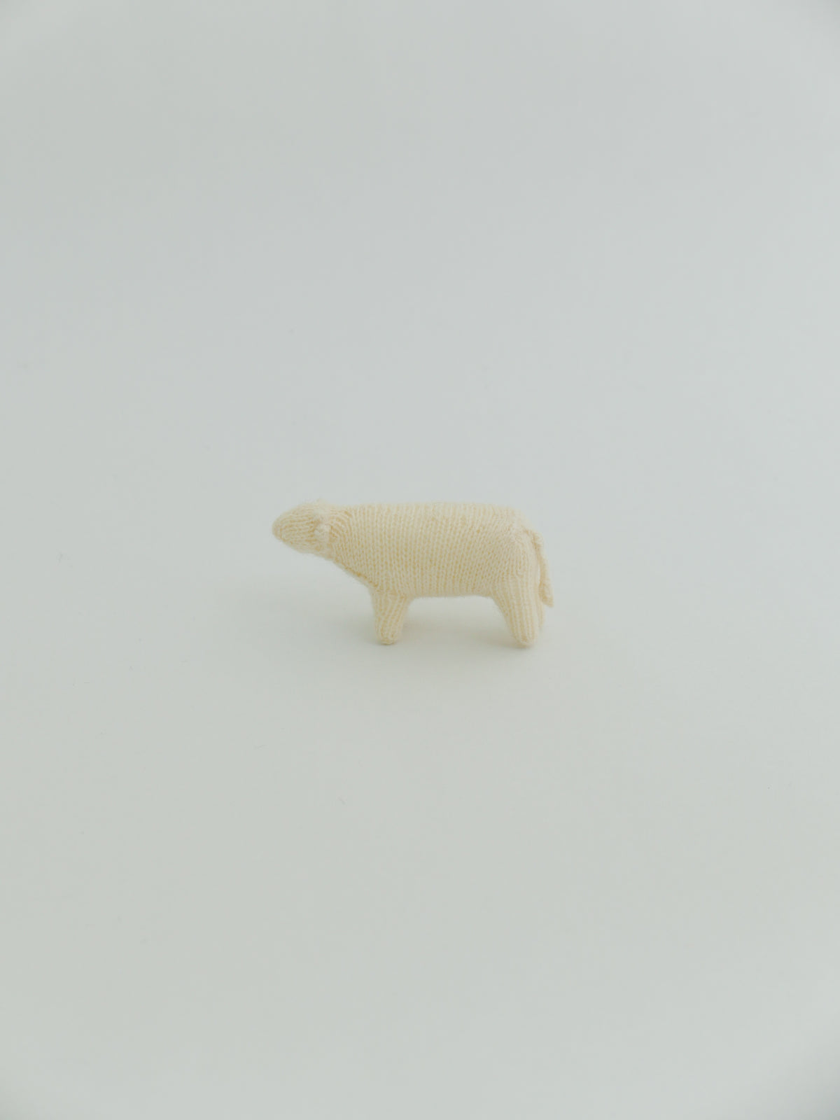 小さな牛