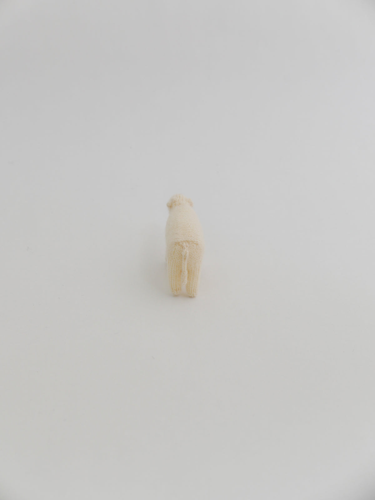 小さな牛