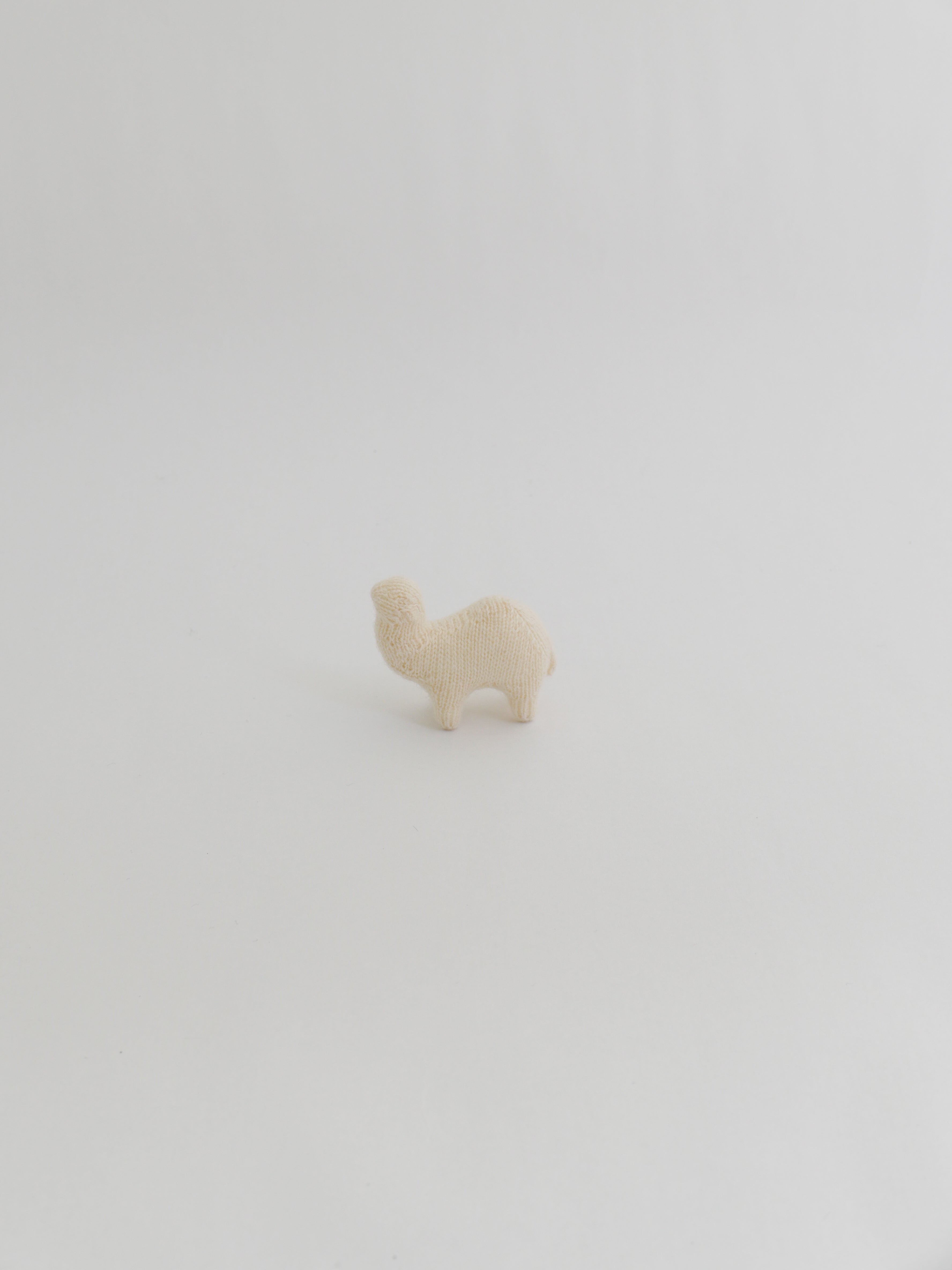 小さなヒトコブラクダ