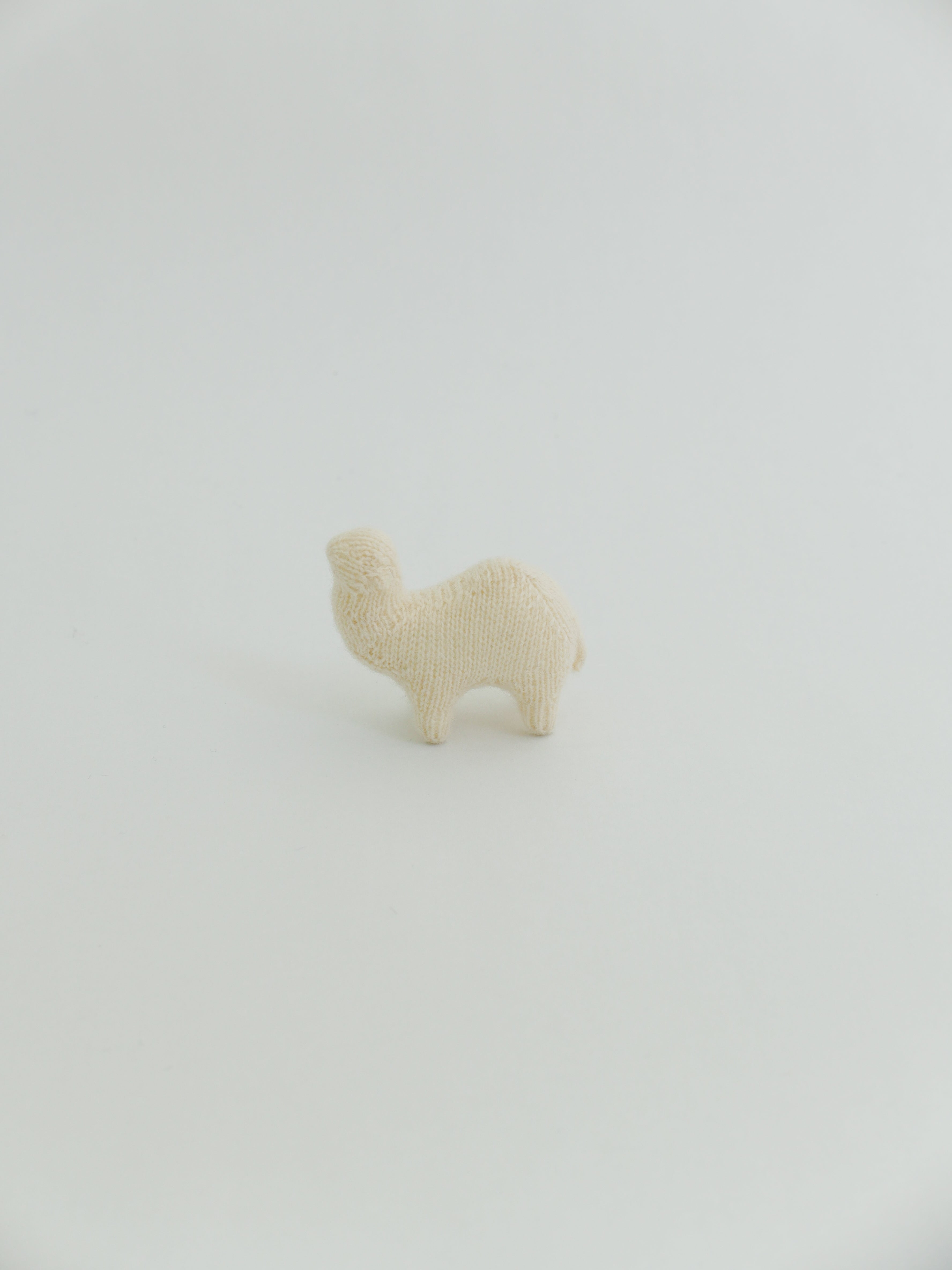小さなヒトコブラクダ