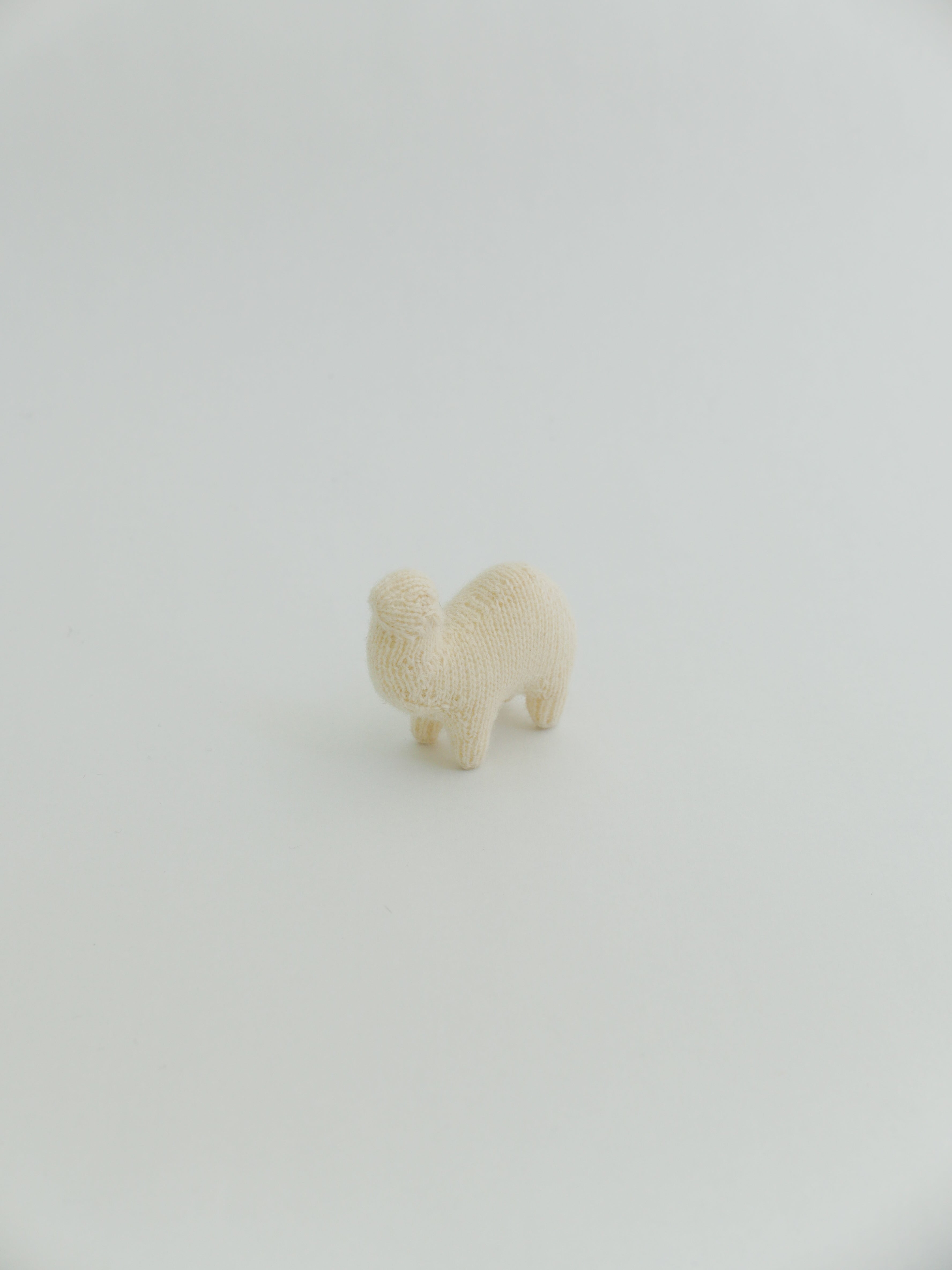 小さなヒトコブラクダ