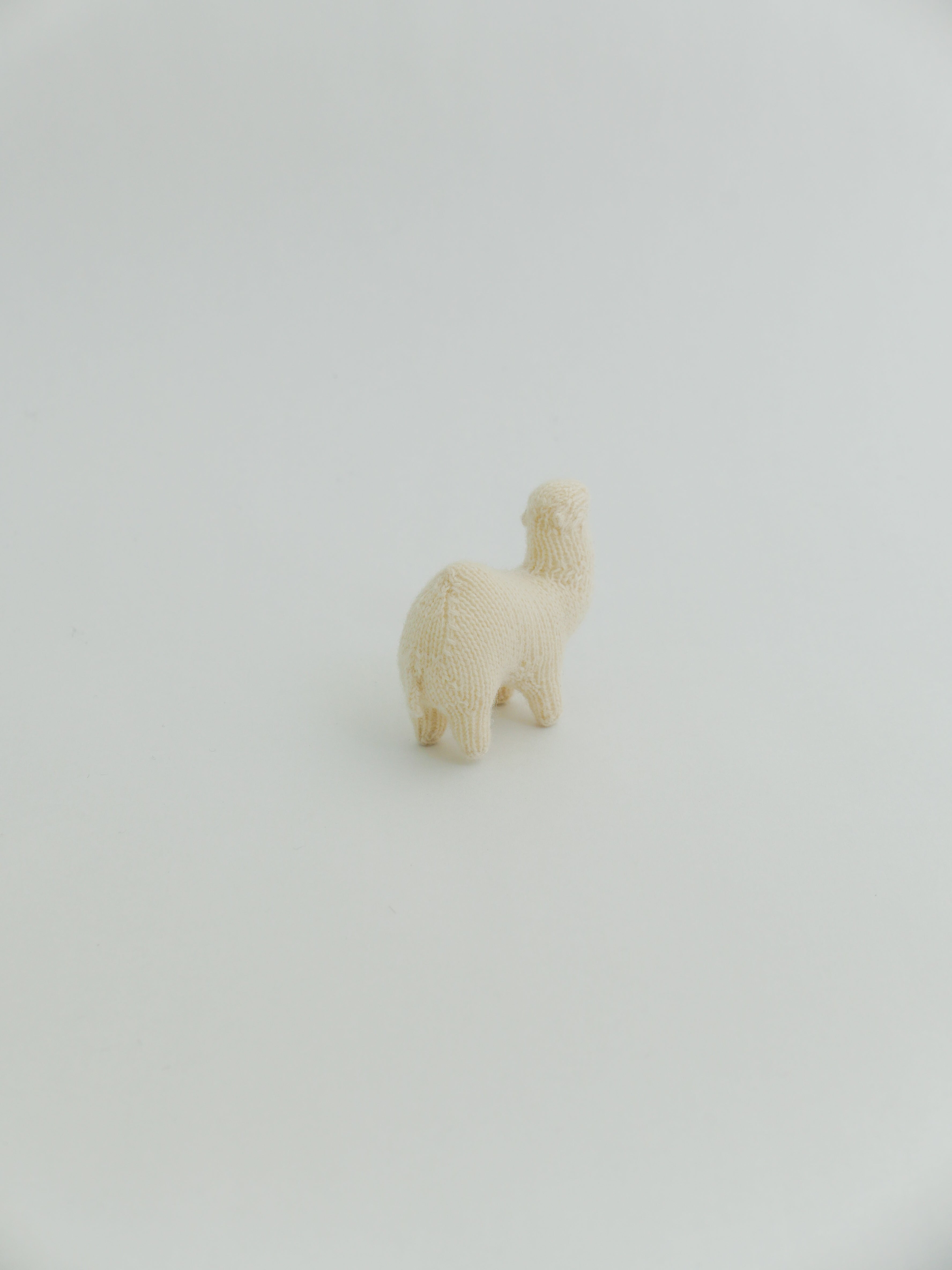 小さなヒトコブラクダ