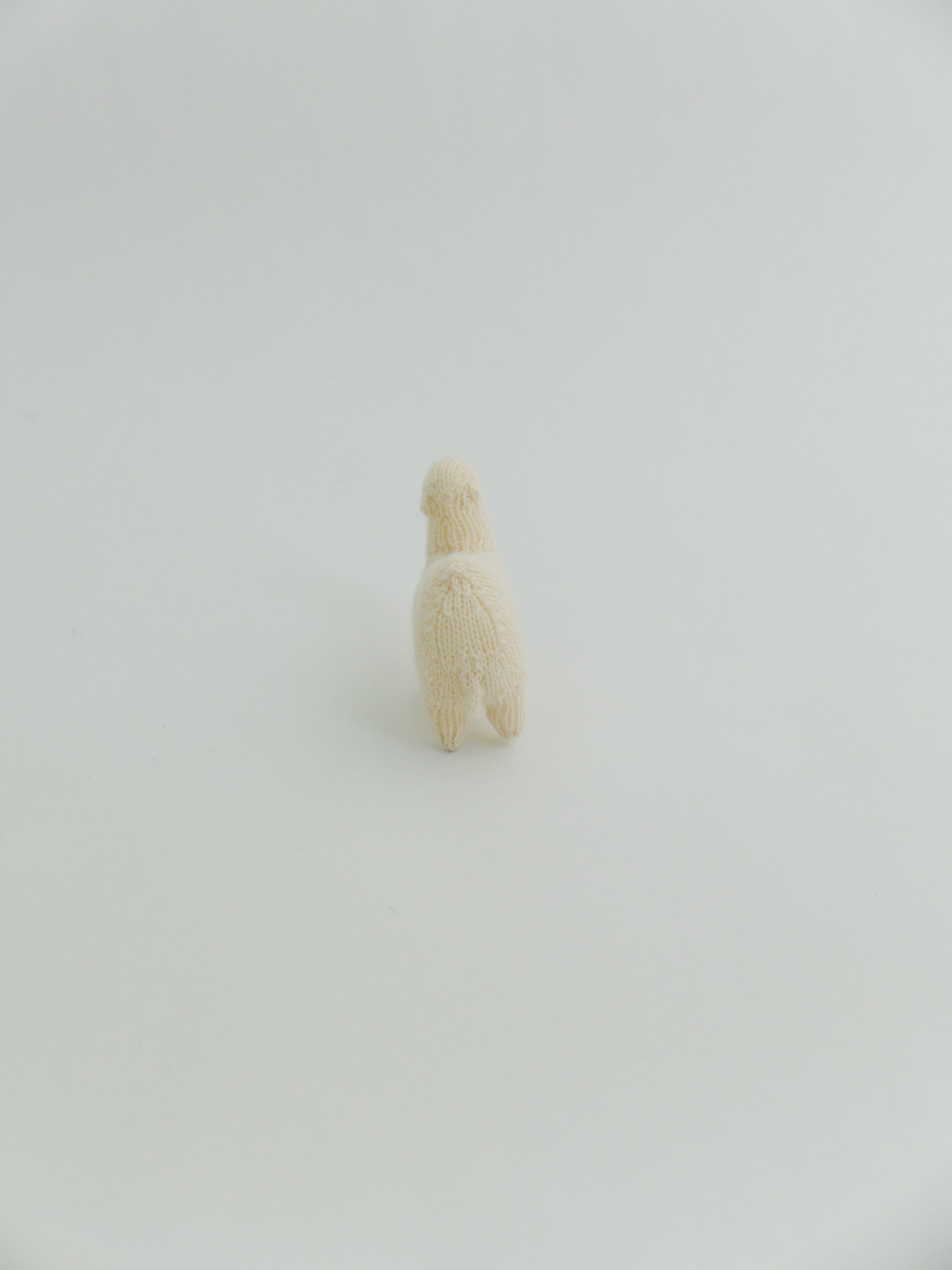 小さなヒトコブラクダ