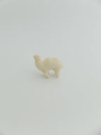 小さなフタコブラクダ