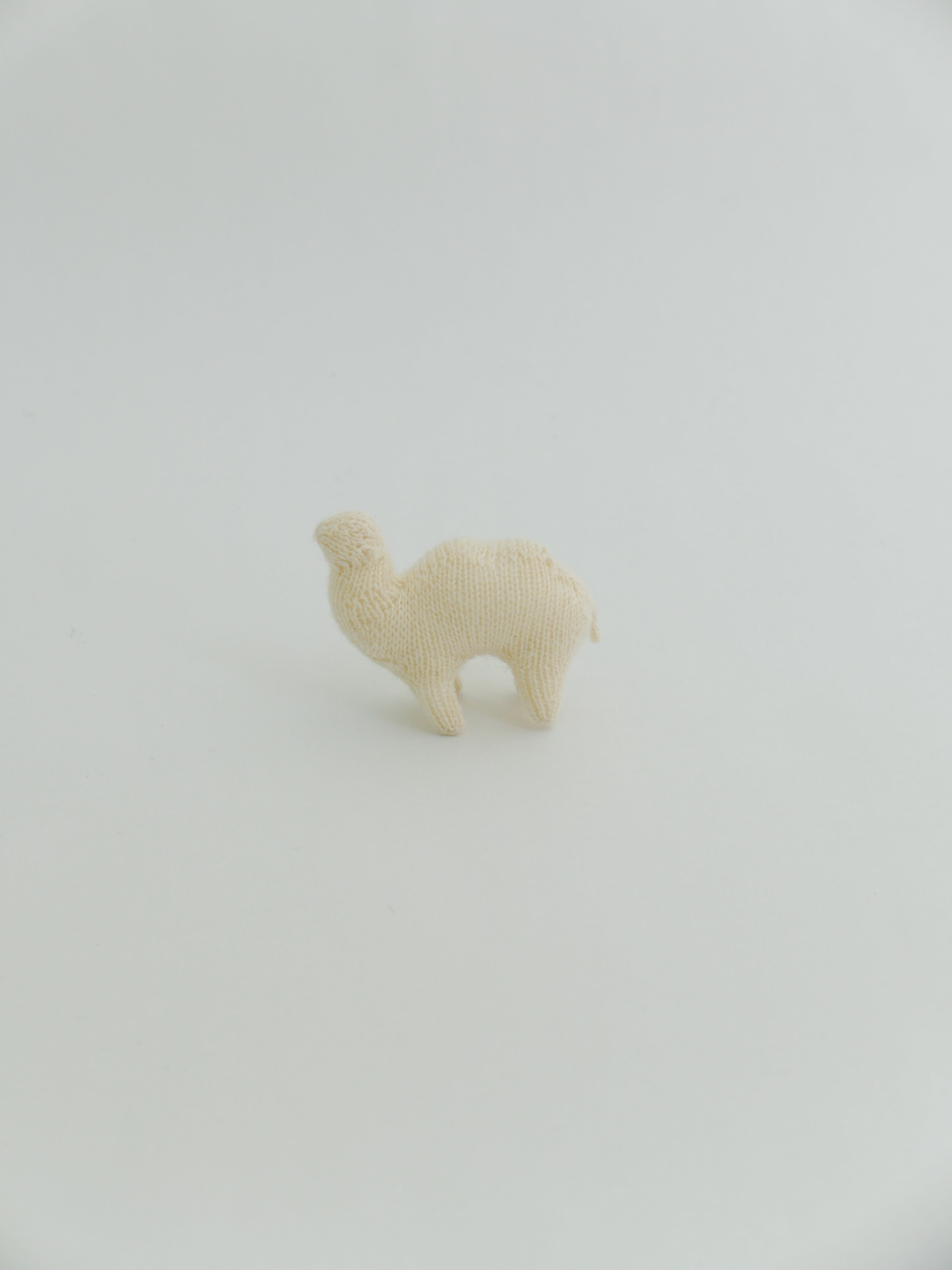 小さなフタコブラクダ