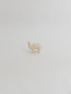小さなフタコブラクダ