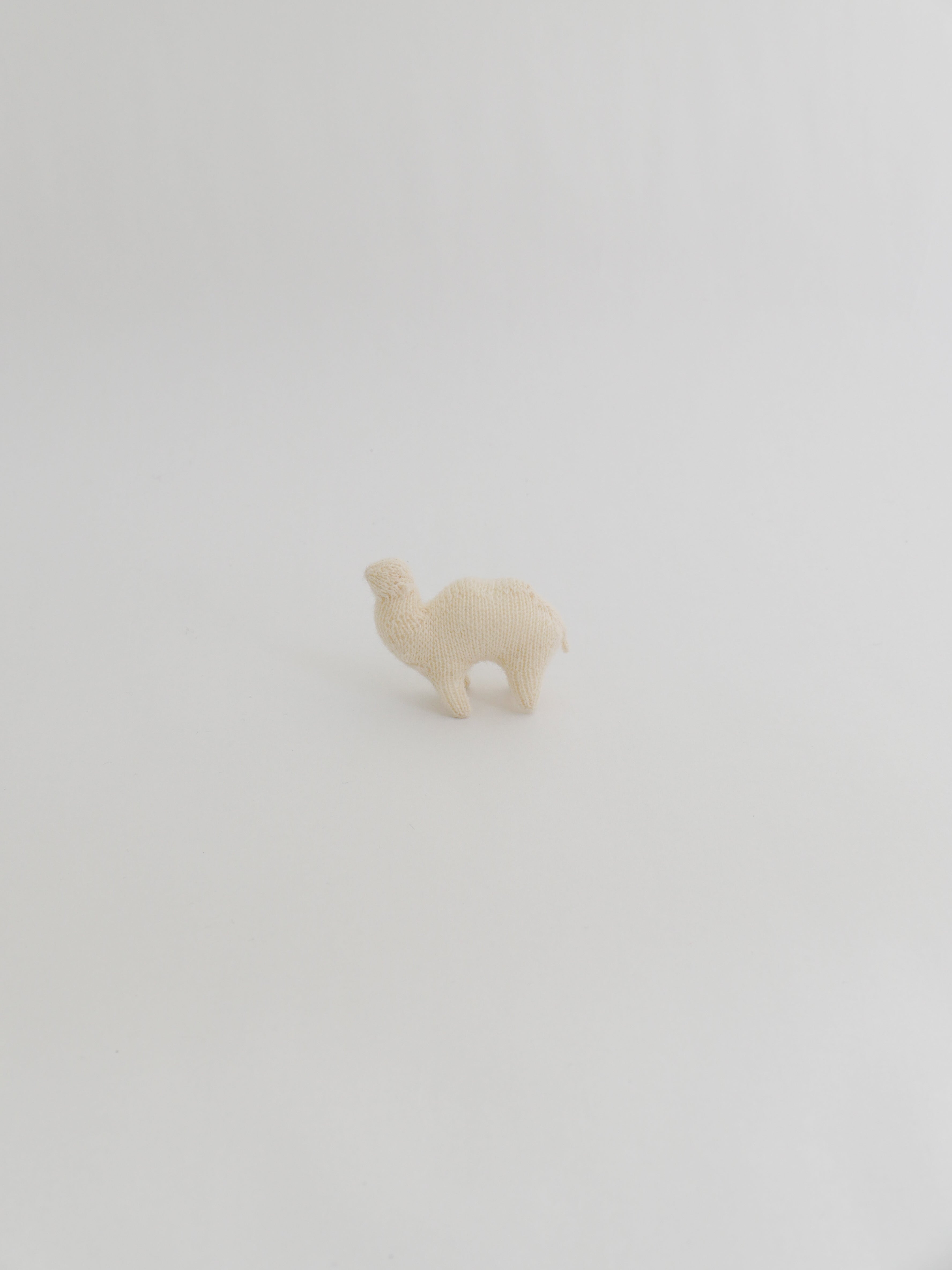 小さなフタコブラクダ