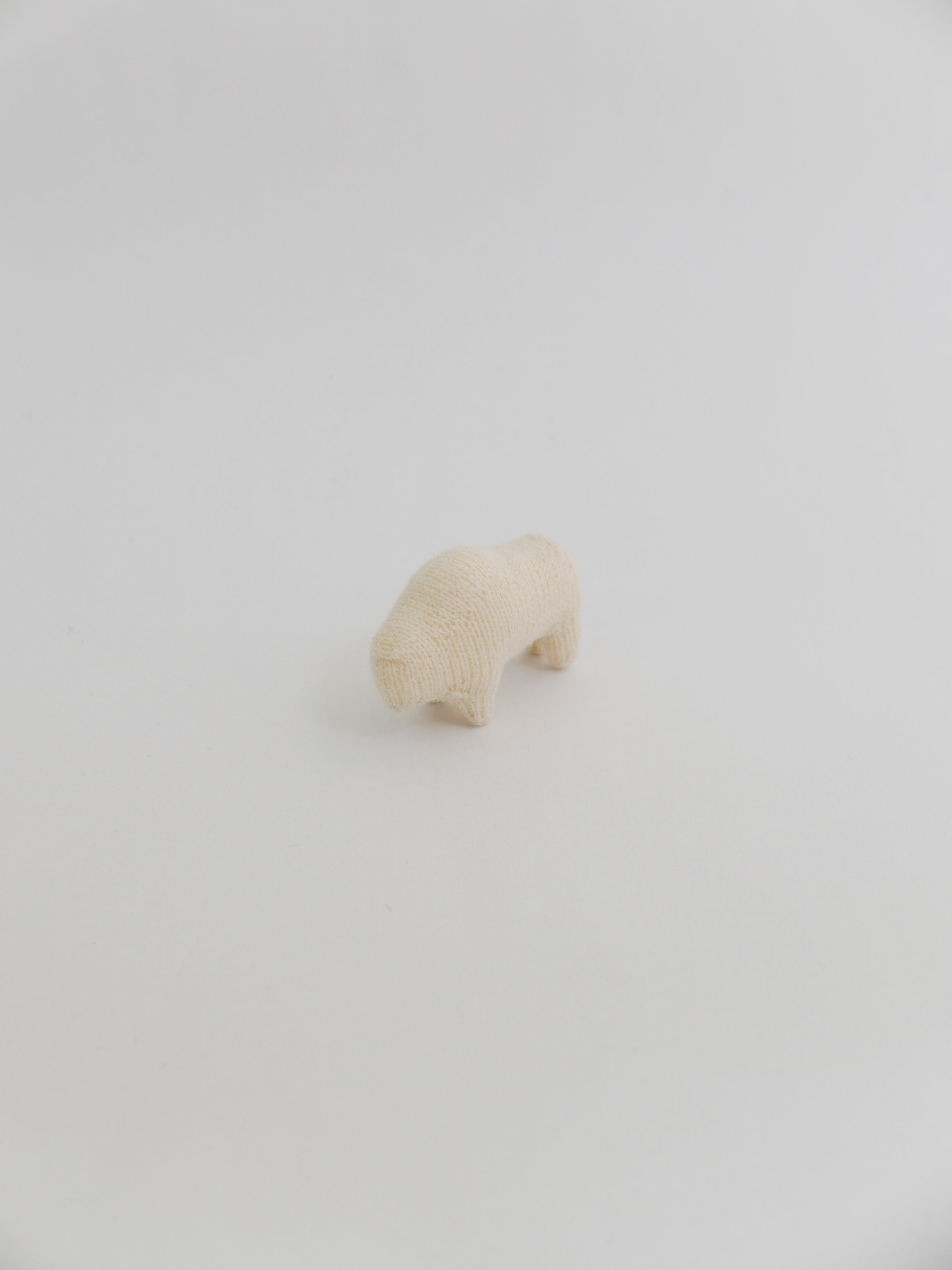 小さなコブウシ