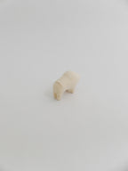 小さなコブウシ