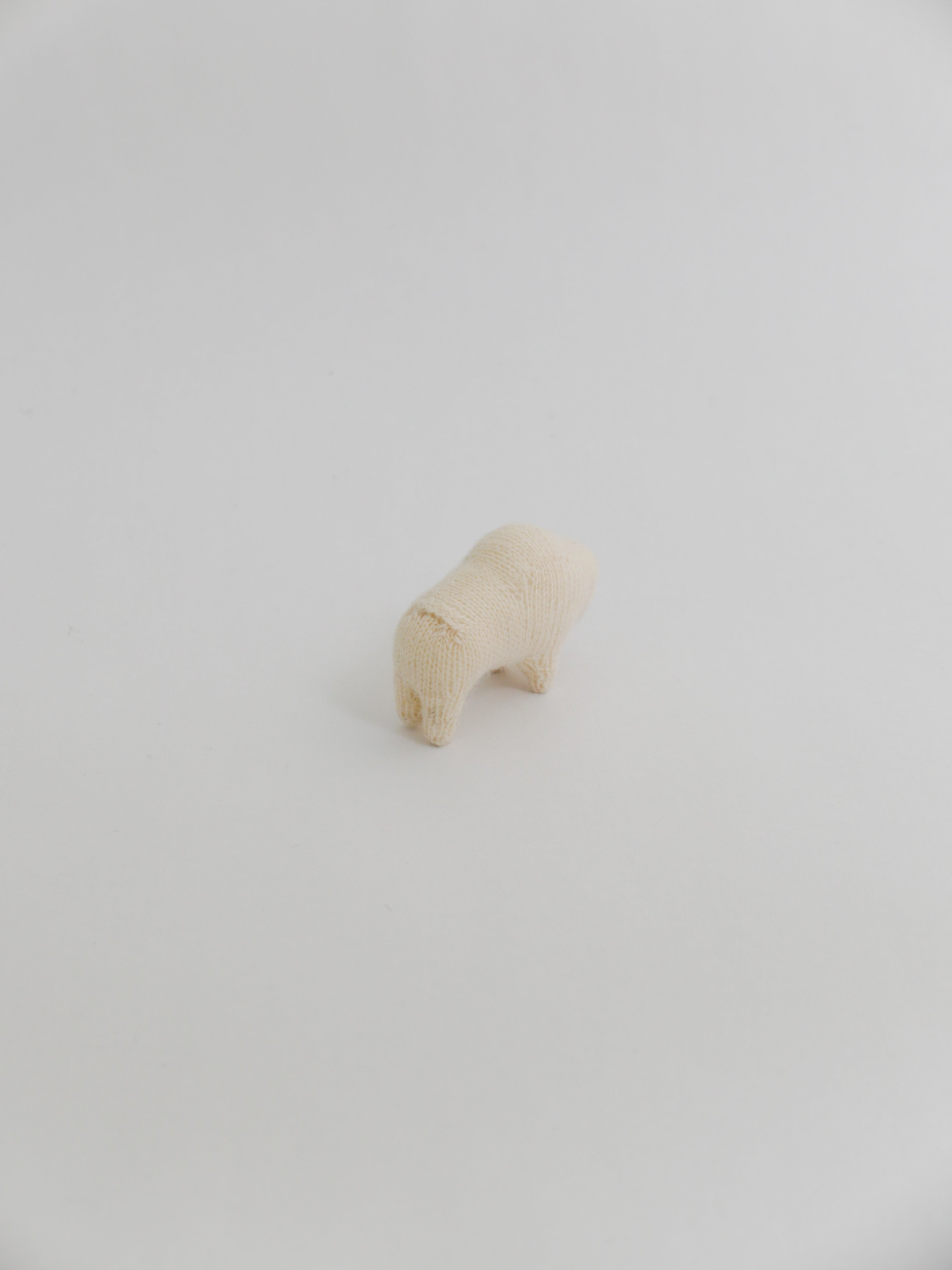 小さなコブウシ
