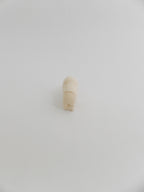 小さなコブウシ