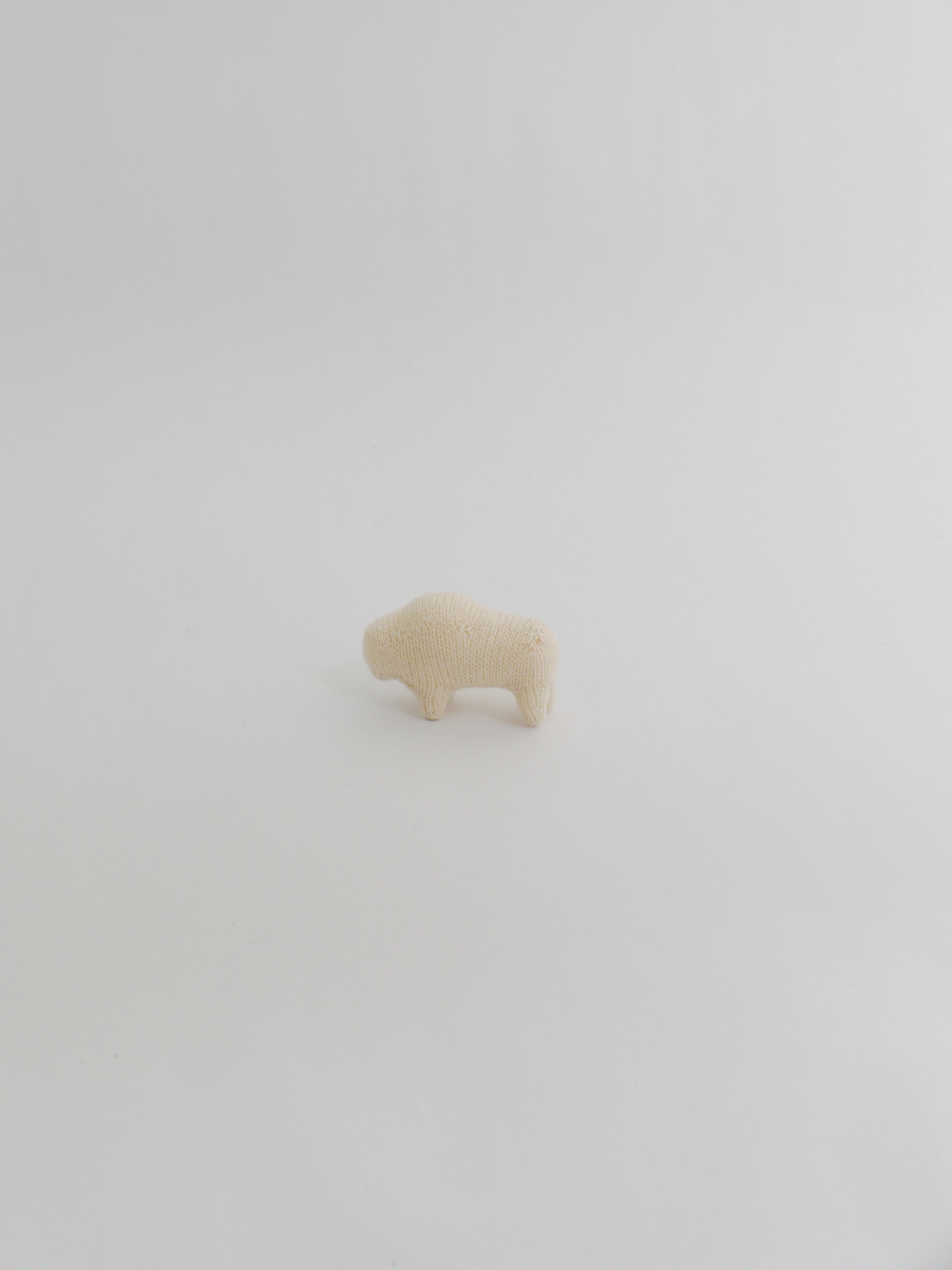 小さなコブウシ