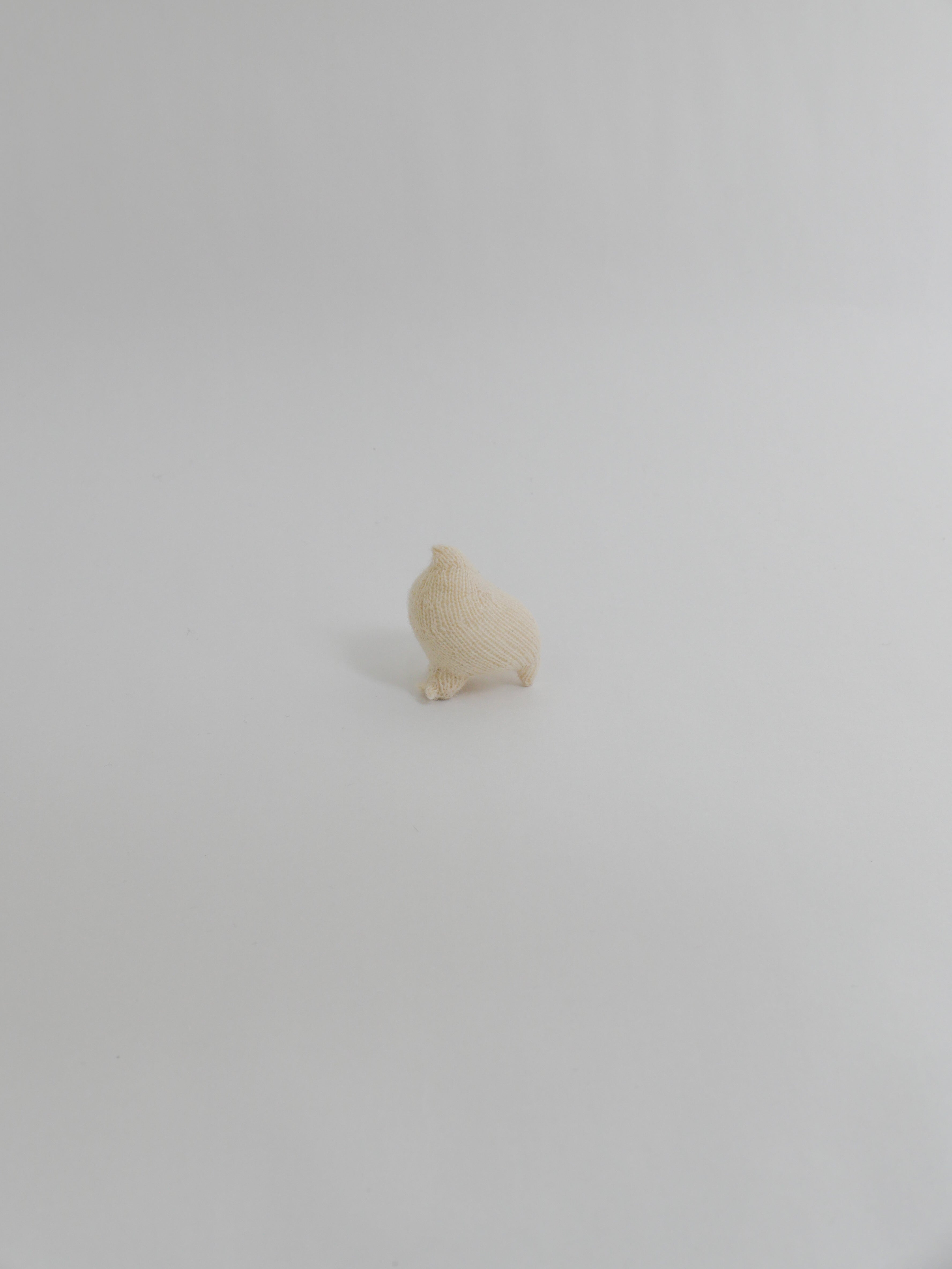 小さなライチョウ