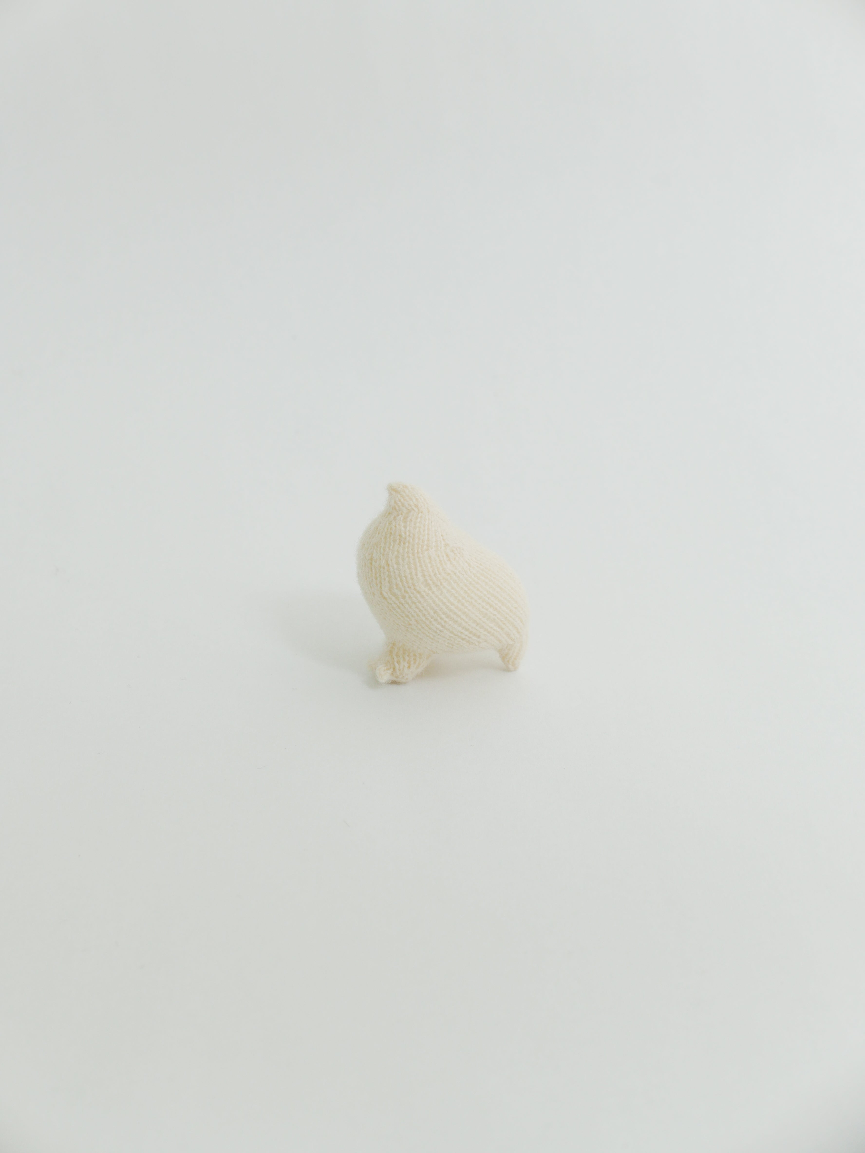 小さなライチョウ