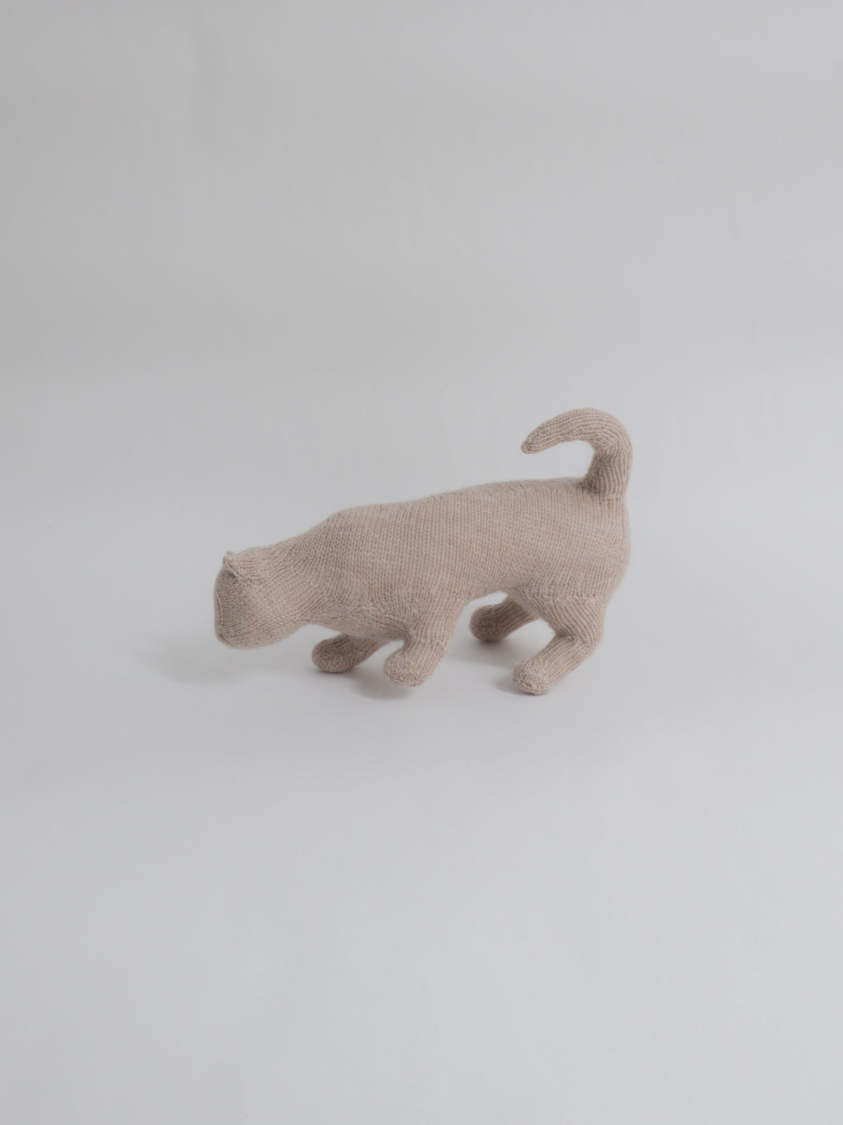 かがむ猫