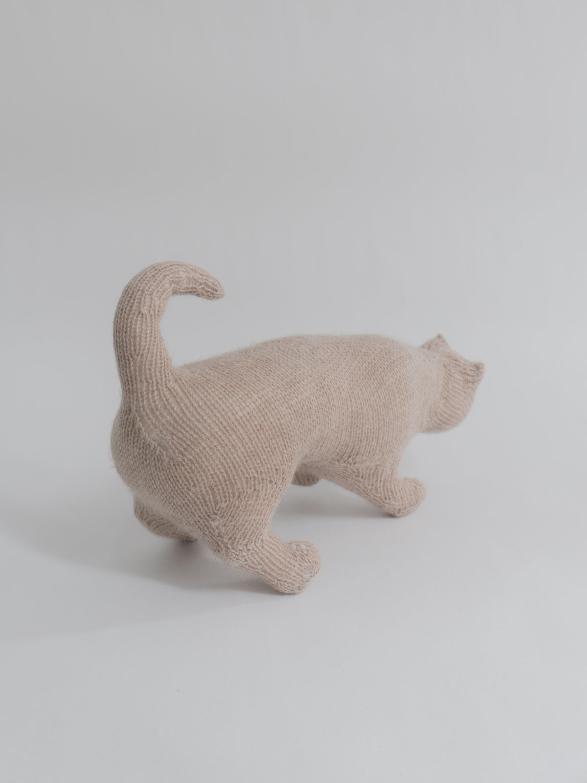 かがむ猫